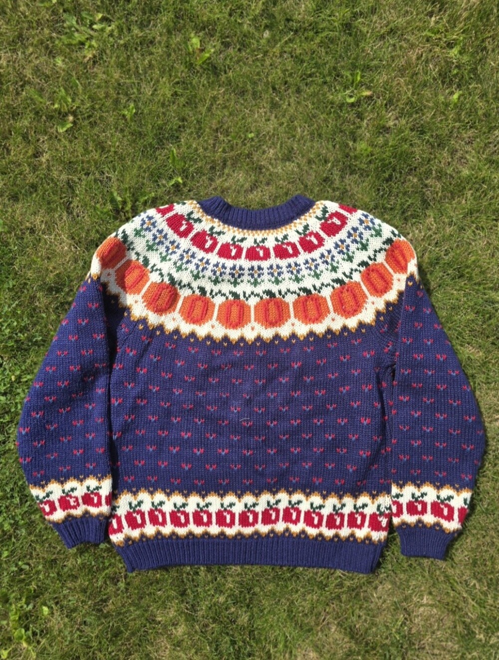 *VTG/NWOT* NORTHERN ISLES Pumpkin Floral Apple Sweater, Harvest Cardigan - Picture 3 of 11